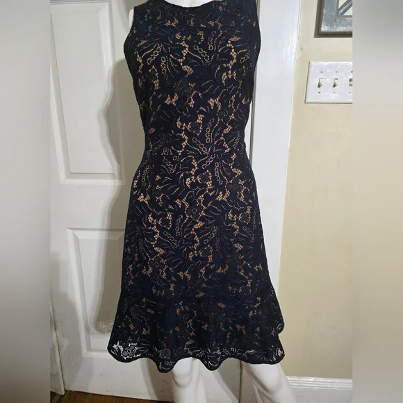 Banana Republic Midnight Blue Lace Dress - Picture 3 of 13